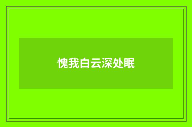 愧我白云深处眠