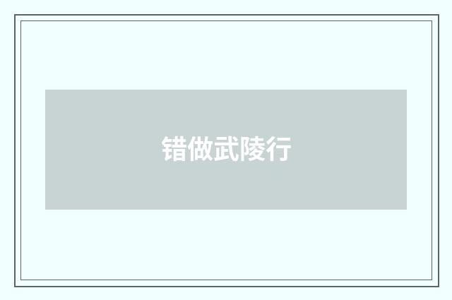 错做武陵行