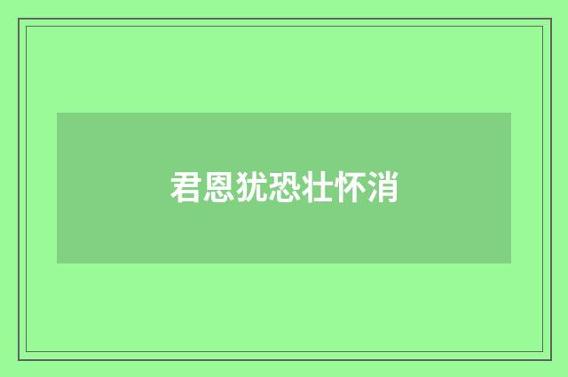 君恩犹恐壮怀消