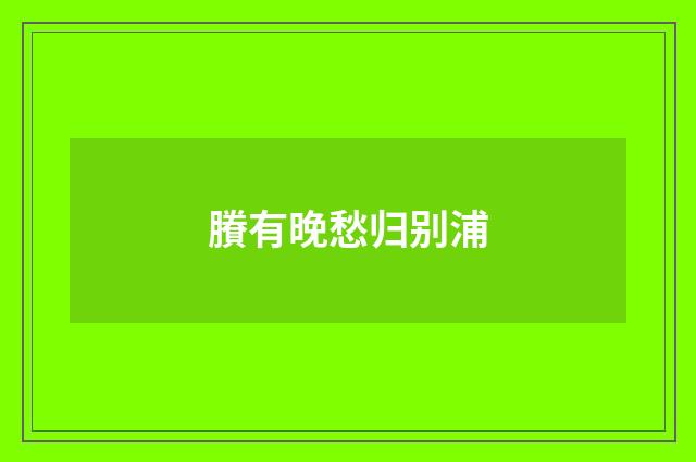 賸有晚愁归别浦