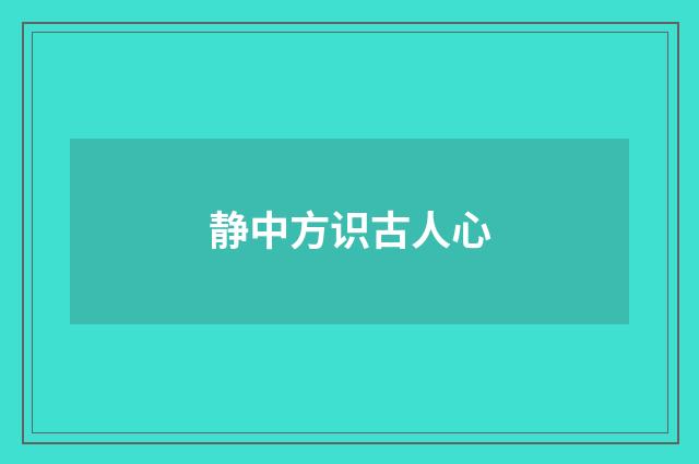静中方识古人心