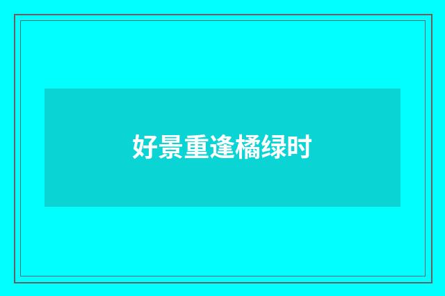好景重逢橘绿时