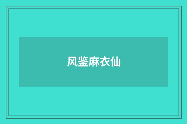 风鉴麻衣仙