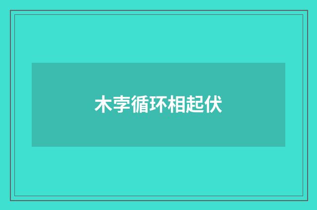 木孛循环相起伏