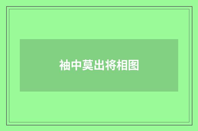 袖中莫出将相图