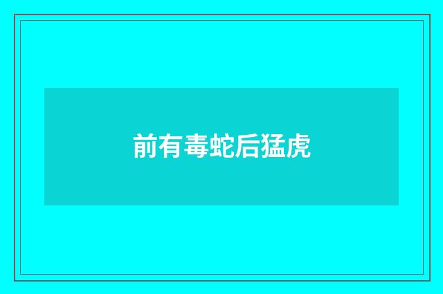 前有毒蛇后猛虎