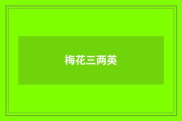 梅花三两英