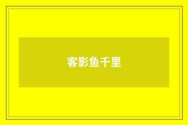 客影鱼千里