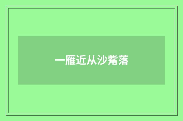 一雁近从沙觜落