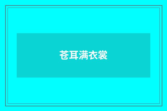 苍耳满衣裳