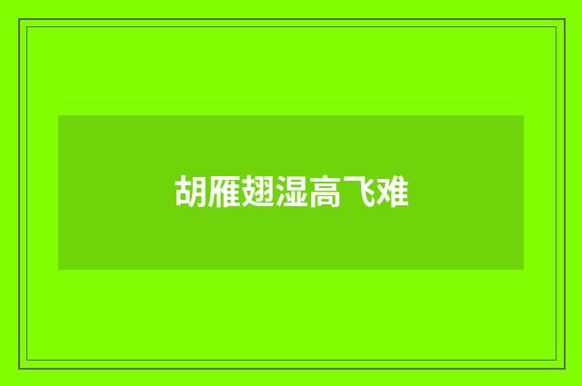 胡雁翅湿高飞难