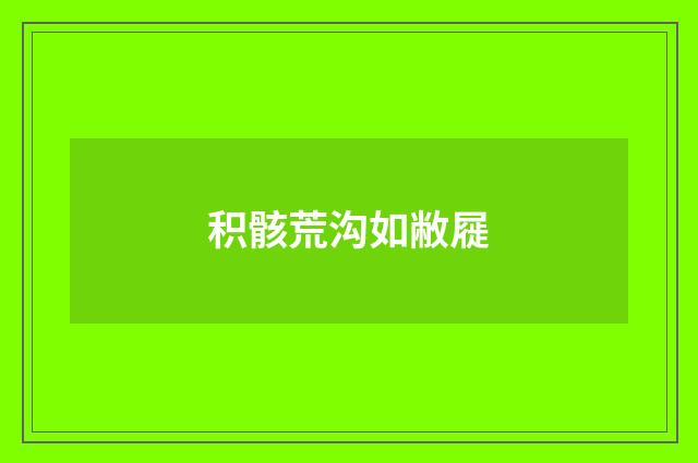 积骸荒沟如敝屣