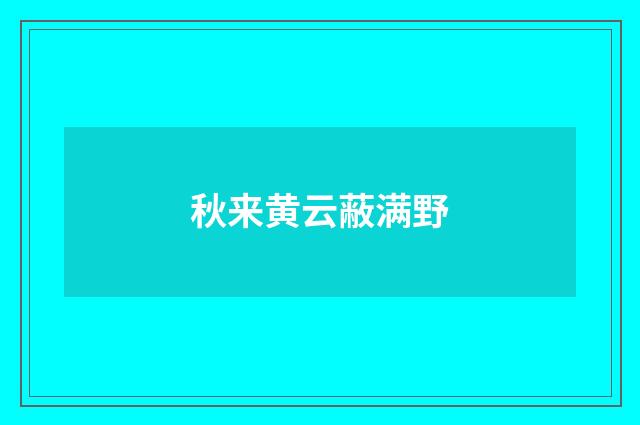 秋来黄云蔽满野