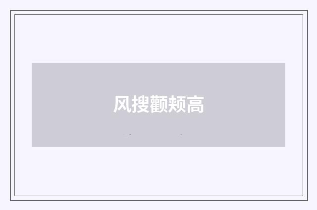风搜颧颊高
