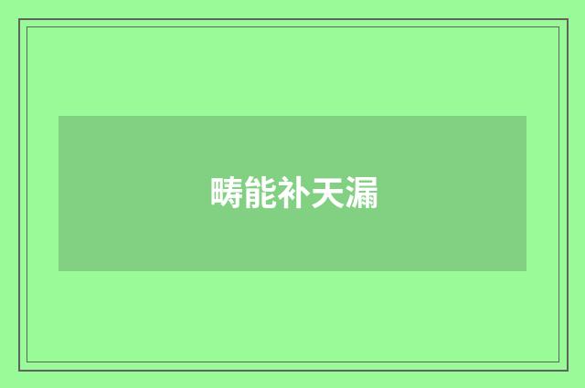 畴能补天漏