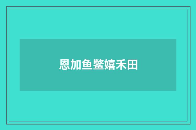 恩加鱼鳖嬉禾田