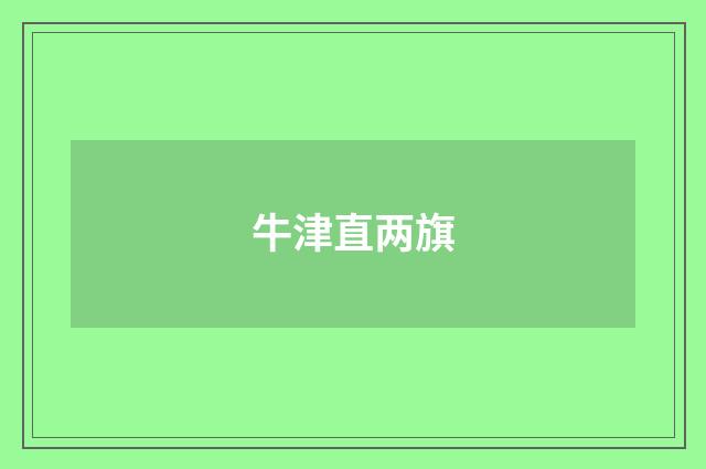 牛津直两旗