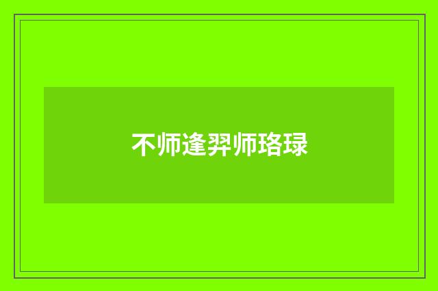 不师逢羿师珞琭