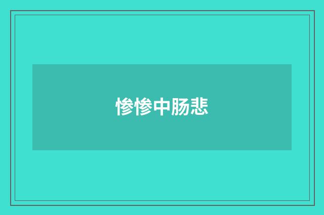 惨惨中肠悲