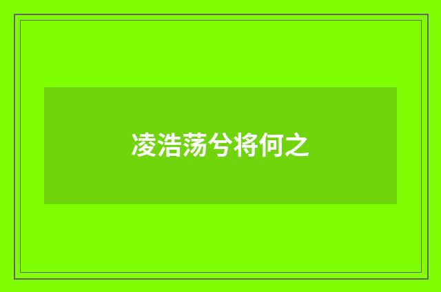 凌浩荡兮将何之