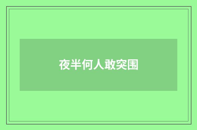 夜半何人敢突围