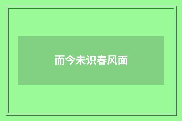 而今未识春风面