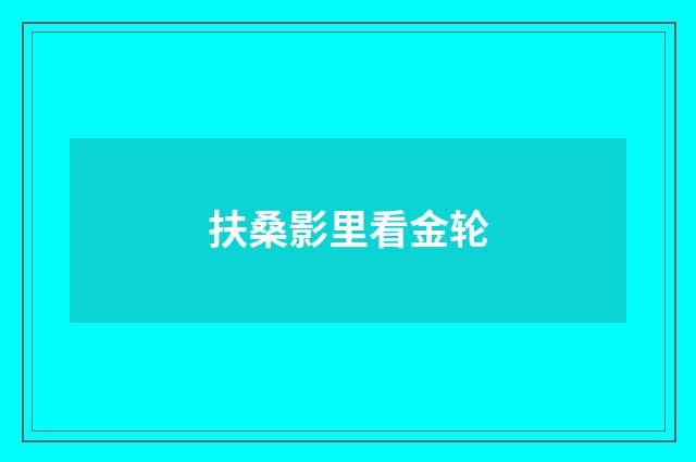 扶桑影里看金轮