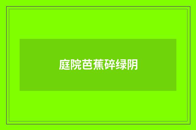 庭院芭蕉碎绿阴