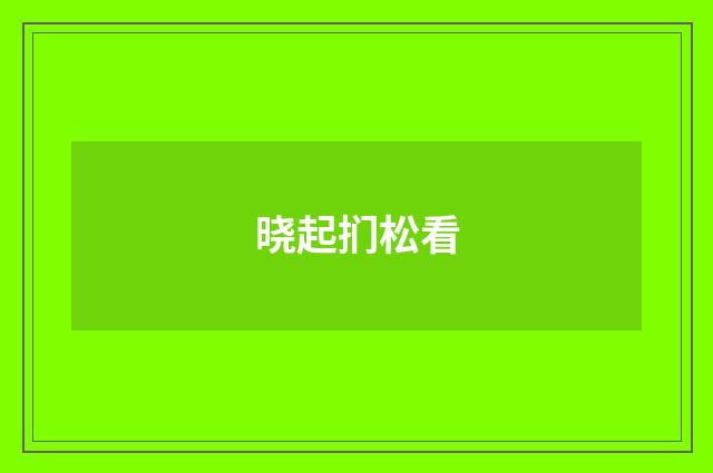 晓起扪松看