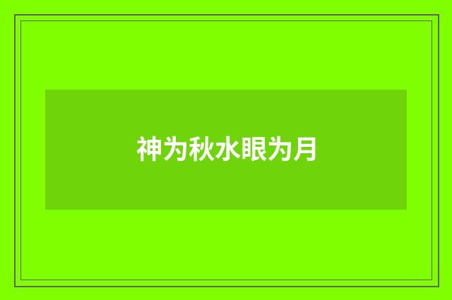 神为秋水眼为月