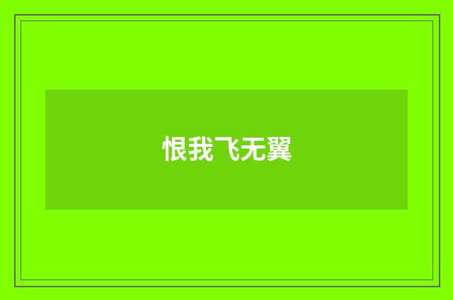 恨我飞无翼