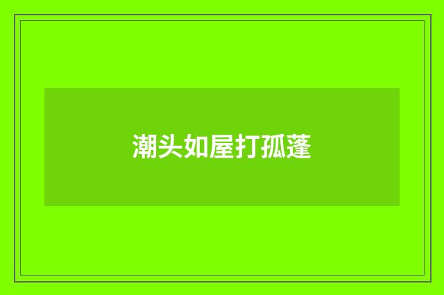 潮头如屋打孤蓬