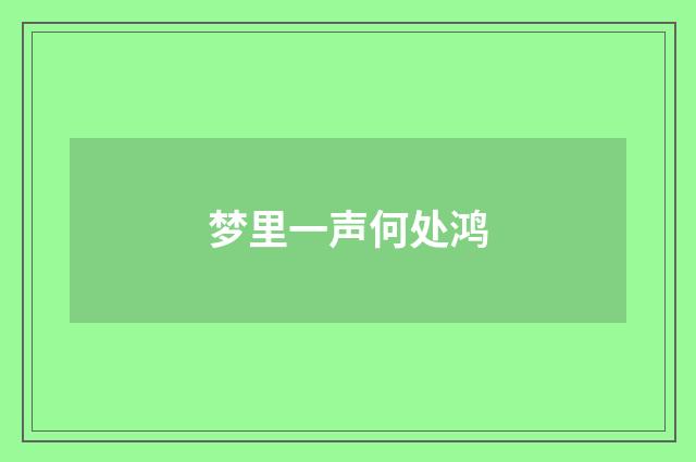 梦里一声何处鸿