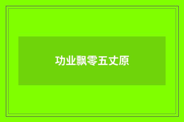 功业飘零五丈原