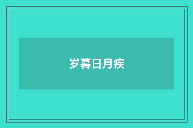 岁暮日月疾