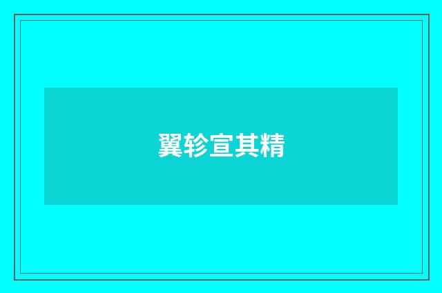 翼轸宣其精