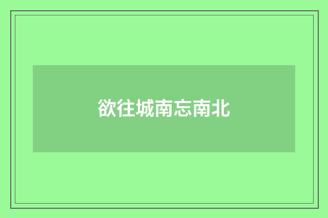 欲往城南忘南北