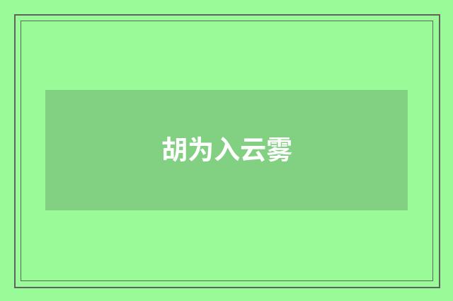 胡为入云雾