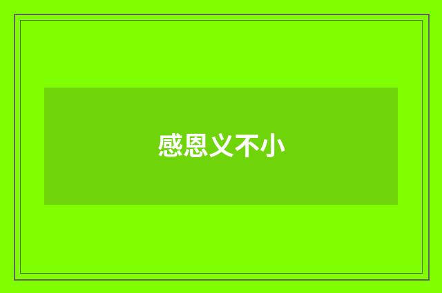 感恩义不小