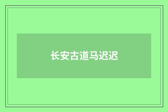 长安古道马迟迟