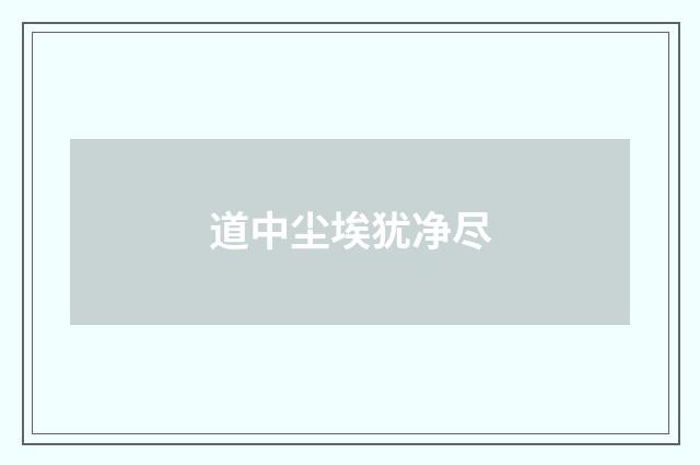 道中尘埃犹净尽