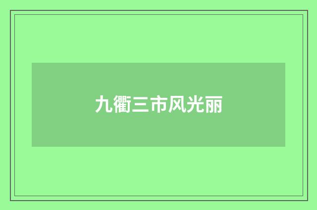 九衢三市风光丽