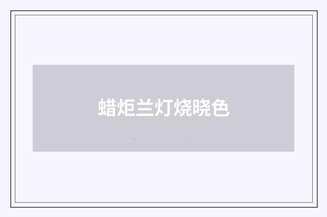 蜡炬兰灯烧晓色