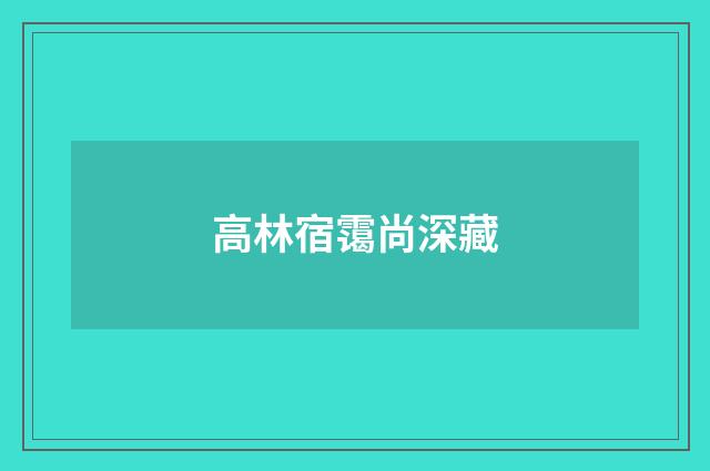 高林宿霭尚深藏