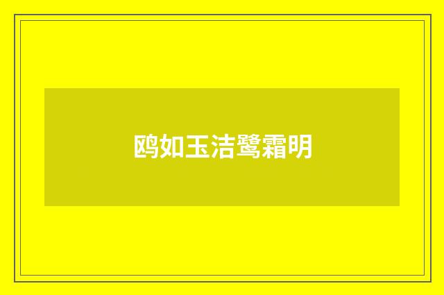鸥如玉洁鹭霜明