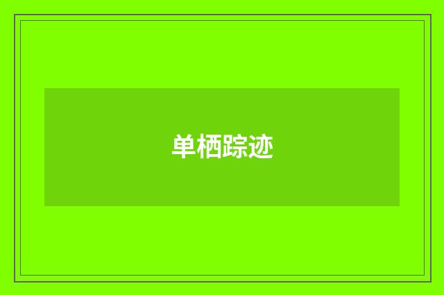 单栖踪迹
