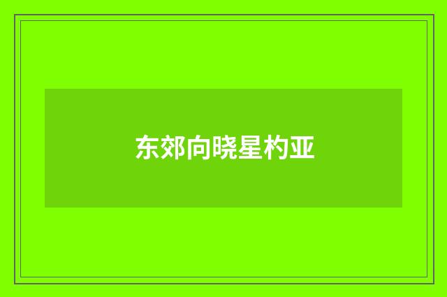 东郊向晓星杓亚