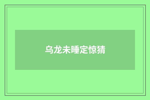 乌龙未睡定惊猜