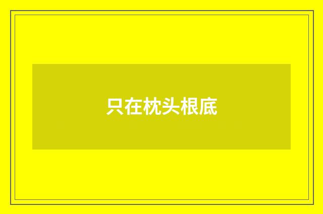 只在枕头根底
