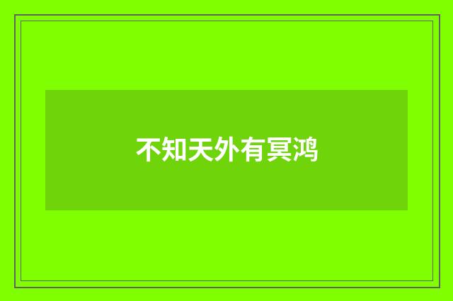不知天外有冥鸿